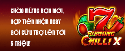 Thưởng Chào Mừng Thành Viên Mới 100% promotion